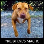 Rbjbtknl's Macho